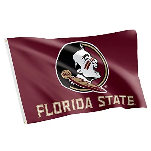 Desert Cactus Florida State University FSU Flag