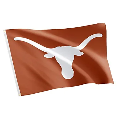 Desert Cactus University of Texas Austin Longhorns Flag