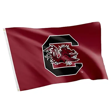 Desert Cactus University of South Carolina USC Flag