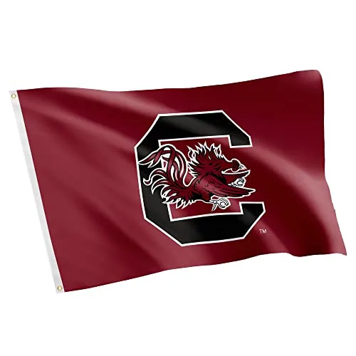 Desert Cactus University of South Carolina USC Flag