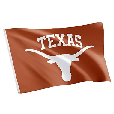 Desert Cactus University of Texas Austin Longhorns Flag